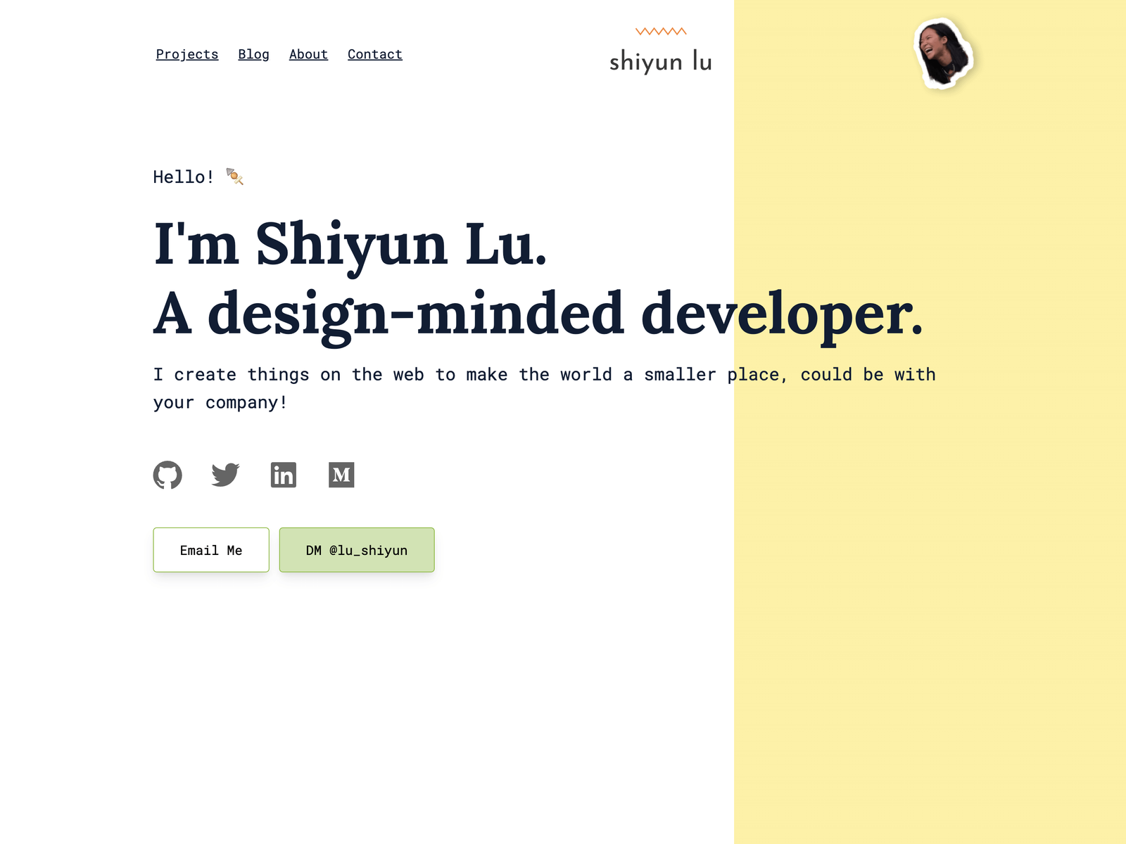 Portfolio v1